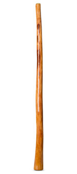High Gloss Finish Didgeridoo (NW140) 